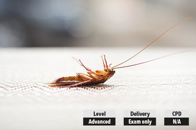 Advanced technician in pest management Advanced technician in pest management